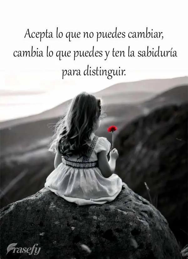 Acepta lo que no puedes cambiar, cambia lo que puedes y ten la sabiduría para distinguir.