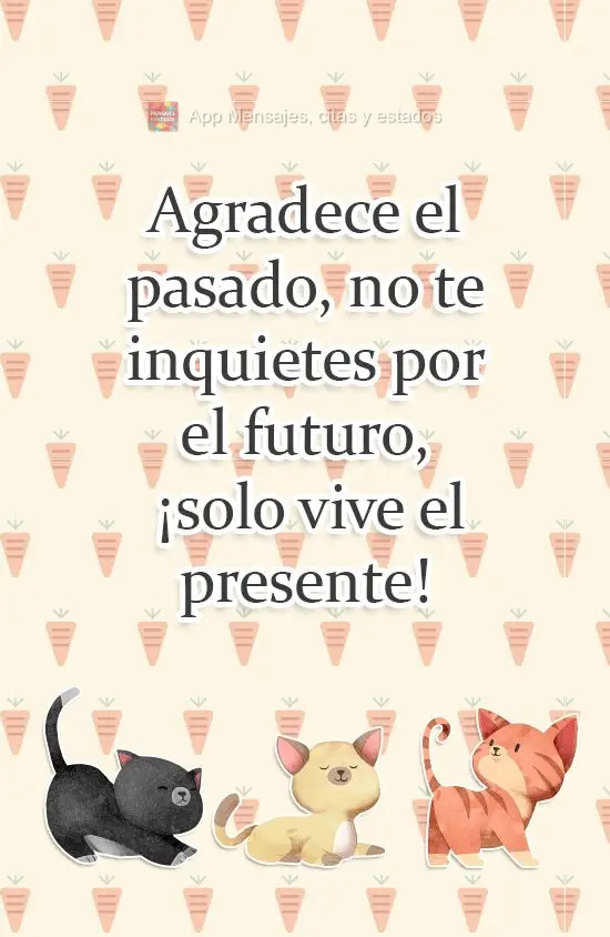 Agradece el pasado, no te inquietes por el futuro, ¡solo vive el presente!