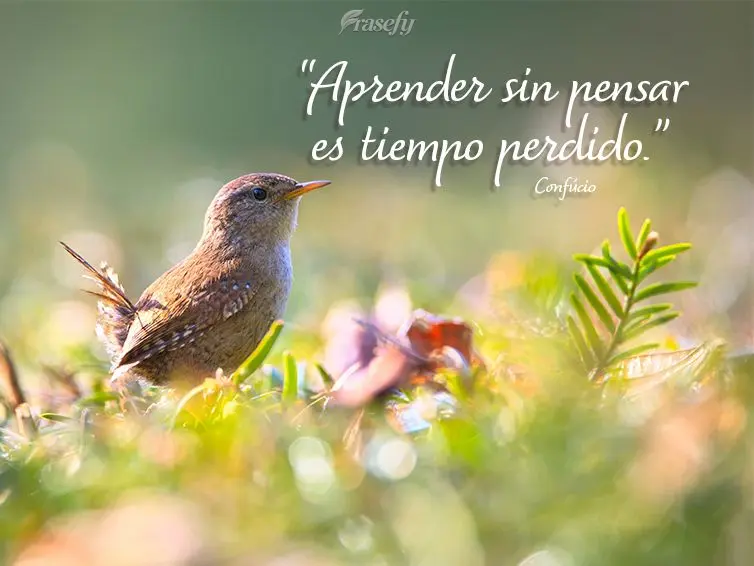 “Aprender sin pensar es tiempo perdido.” Confucio