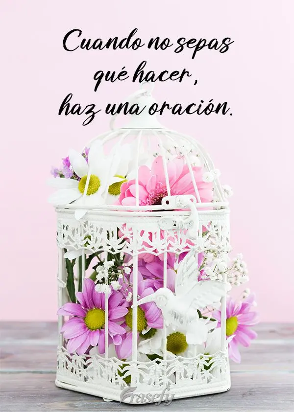 Cuando no sepas qué hacer, haz una oración.