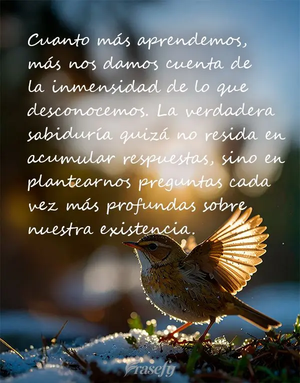 Cuanto más aprendemos, más nos damos cuenta de la inmensidad de lo que desconocemos. La verdadera sabiduría quizá no resida en acumular respuestas, s...
