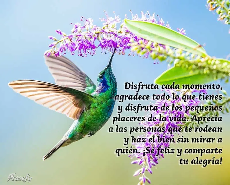 Disfruta cada momento, agradece todo lo que tienes y disfruta de los pequeños placeres de la vida. Aprecia a las personas que te rodean y haz el bien si...