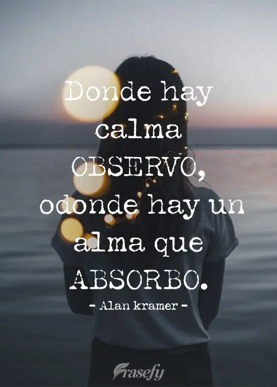 Donde hay calma observo, donde hay un alma que absorbo. Alan kramer