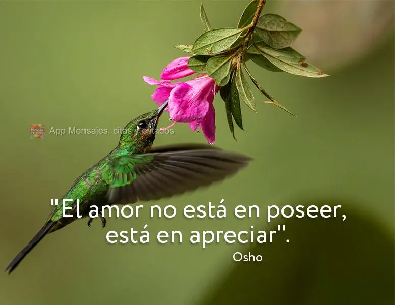 "El amor no está en poseer, está en apreciar". Osho