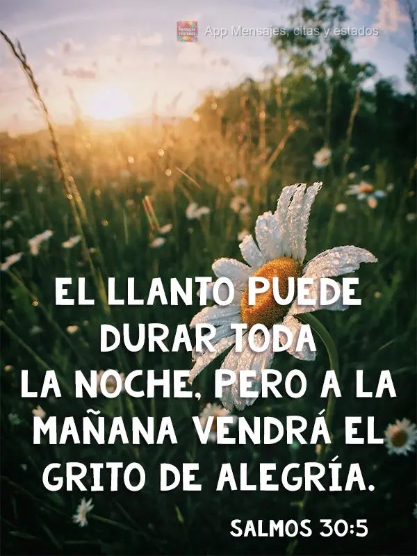 El llanto puede durar toda la noche,
pero a la mañana vendrá el grito de alegría. Salmos 30:5