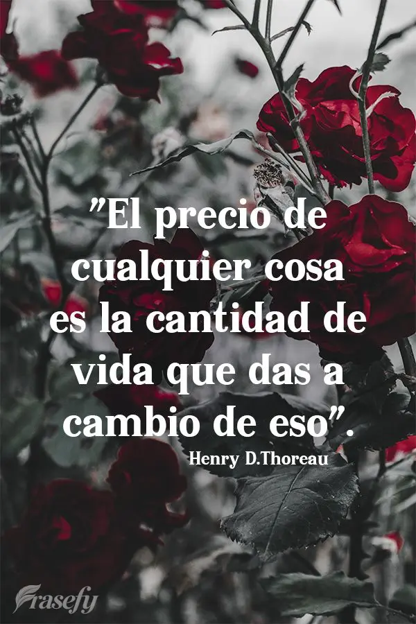 "El precio de cualquier cosa es la cantidad de vida que das a cambio de eso". Henry David Thoreau
