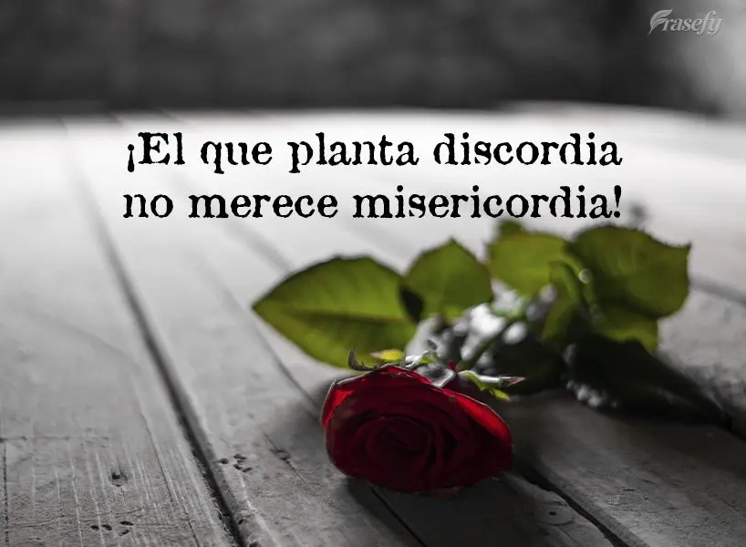 ¡El que planta discordia no merece misericordia!