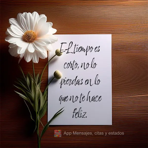 EL tiempo es corto, no lo pierdas en lo que no te hace feliz.