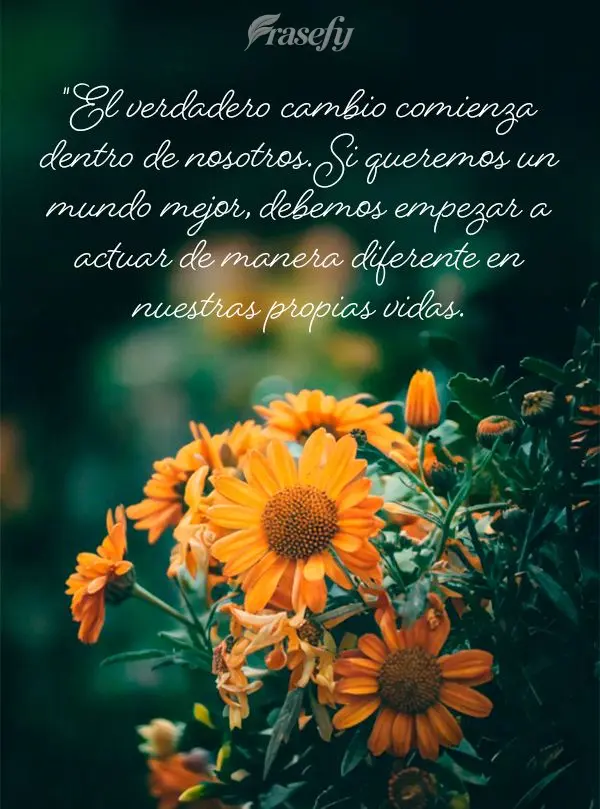 "El verdadero cambio comienza dentro de nosotros. Si queremos un mundo mejor, debemos empezar a actuar de manera diferente en nuestras propias vidas.