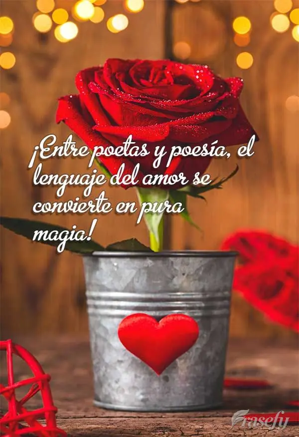 ¡Entre poetas y poesía, el lenguaje del amor se convierte en pura magia!