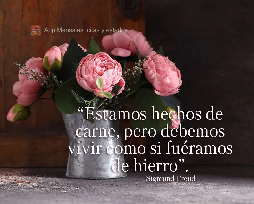 “Estamos hechos de carne, pero debemos vivir como si fuéramos de hierro”. Sigmund Freud