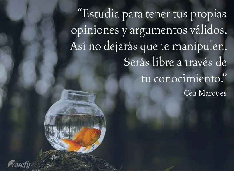 “Estudia para tener tus propias opiniones y argumentos válidos. Así no dejarás que te manipulen. Serás libre a través de tu conocimiento ".  Céu ...