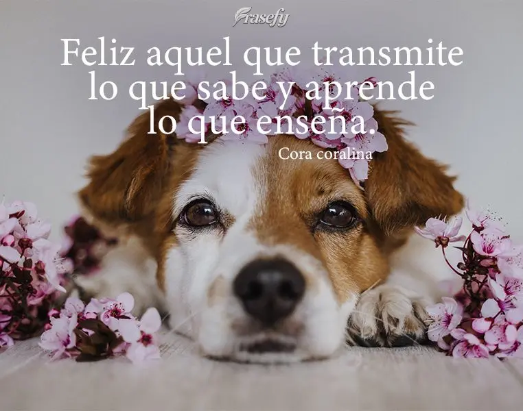 Feliz aquel que transmite lo que sabe y aprende lo que enseña. Cora Coralina