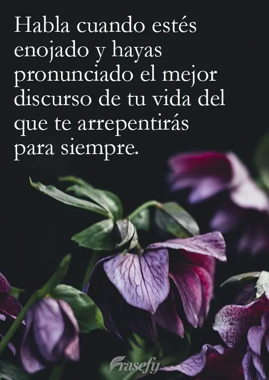 Habla cuando estés enojado y hayas pronunciado el mejor discurso de tu vida del que te arrepentirás para siempre.
