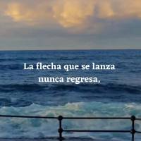 La flecha que se lanza nunca regresa, así como las palabras que se deben decir, o las oportunidades que se deben aprovechar.