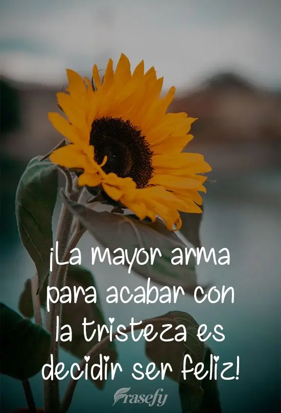 ¡La mayor arma para acabar con la tristeza es decidir ser feliz!