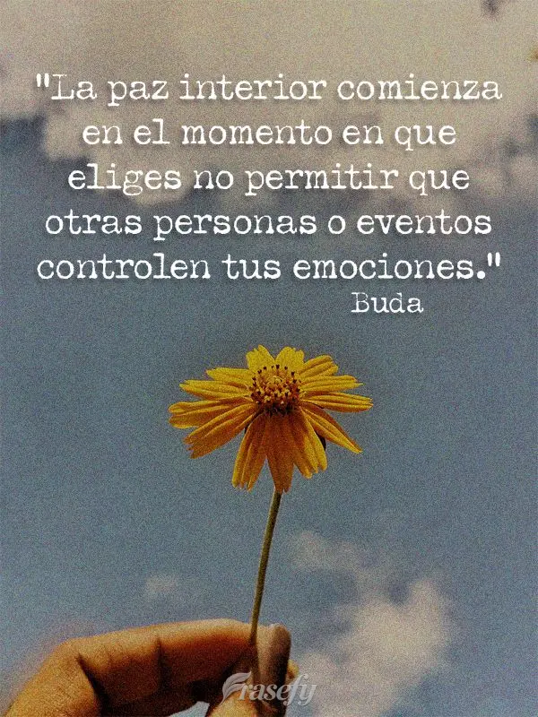 "La paz interior comienza en el momento en que eliges no permitir que otras personas o eventos controlen tus emociones". Buda