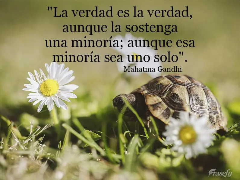 "La verdad es la verdad, aunque la sostenga una minoría; aunque esa minoría sea uno solo". Mahatma Gandhi