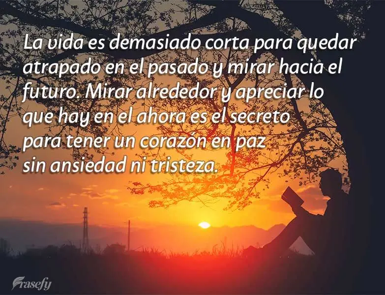 La vida es demasiado corta para quedar atrapado en el pasado y mirar hacia el futuro. Mirar alrededor y apreciar lo que hay en el ahora es el secreto par...