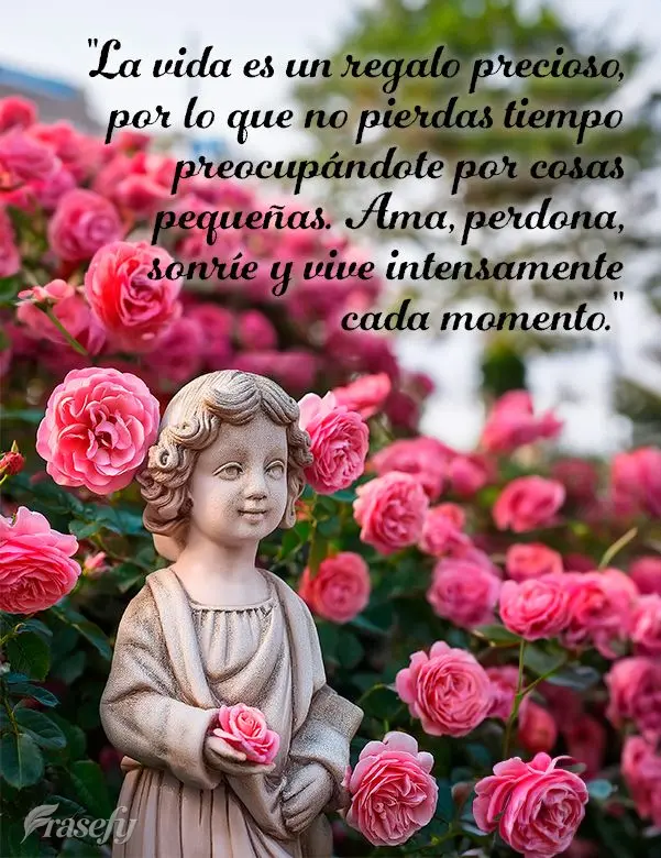 "La vida es un regalo precioso, por lo que no pierdas tiempo preocupándote por cosas pequeñas. Ama, perdona, sonríe y vive intensamente cada momento."...