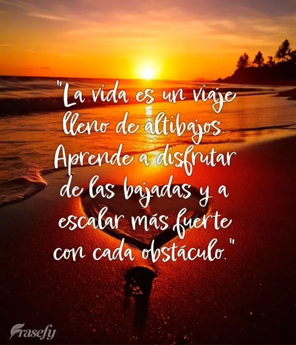 "La vida es un viaje lleno de altibajos. Aprende a disfrutar de las bajadas y a escalar más fuerte con cada obstáculo."
