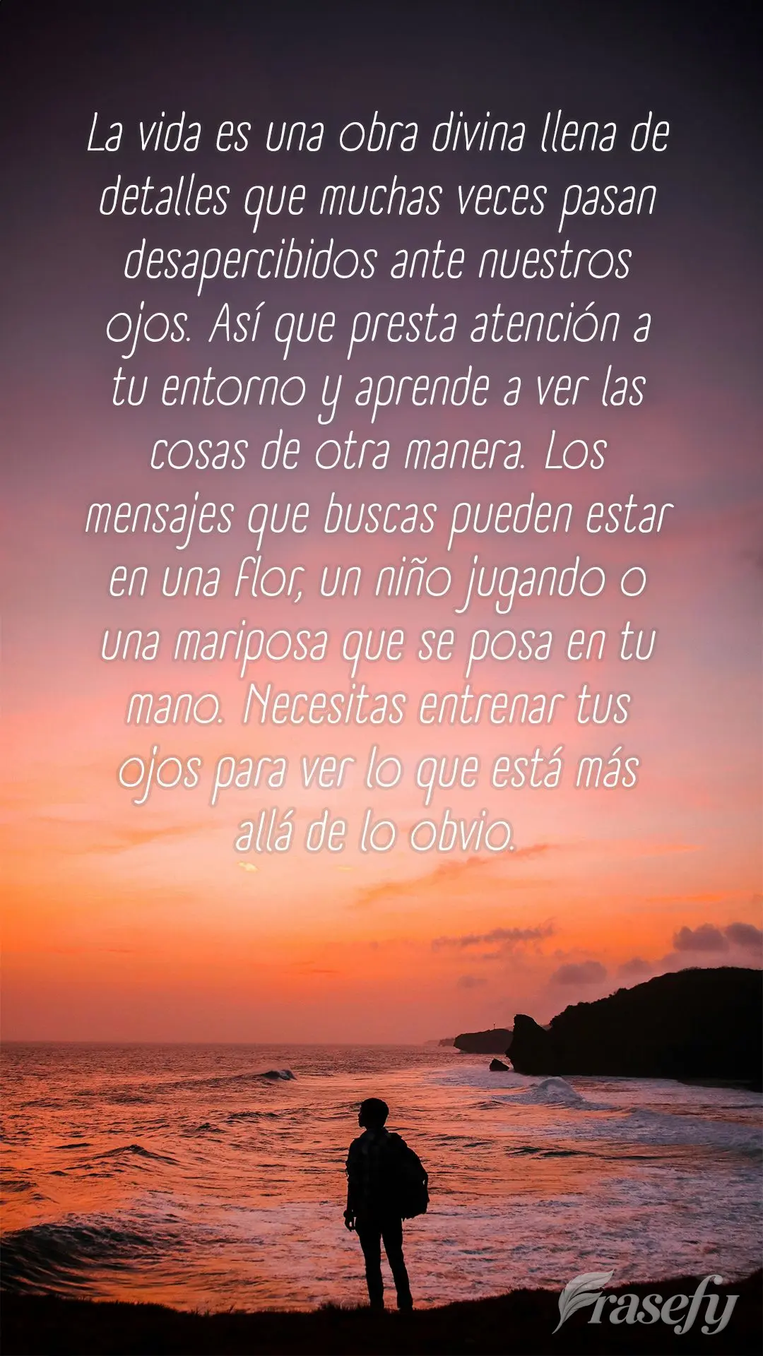 La vida es una obra divina llena de detalles que muchas veces pasan desapercibidos ante nuestros ojos. Así que presta atención a tu entorno y aprende a...