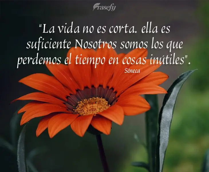 “La vida no es corta. ella es suficiente Nosotros somos los que perdemos el tiempo en cosas inútiles”. Sêneca