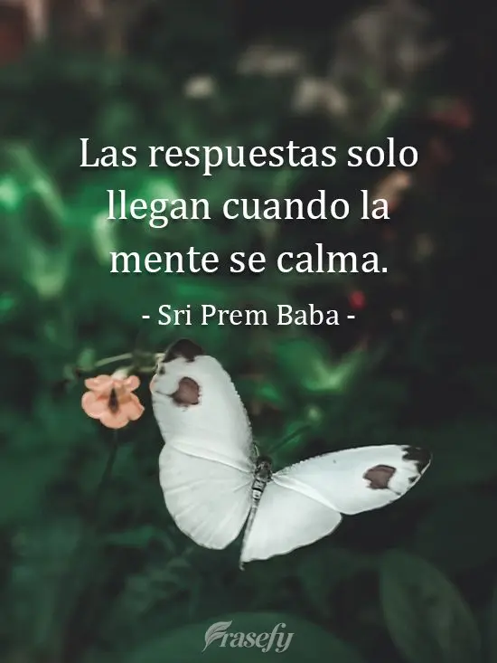 Las respuestas solo llegan cuando la mente se calma. Sri Prem Baba