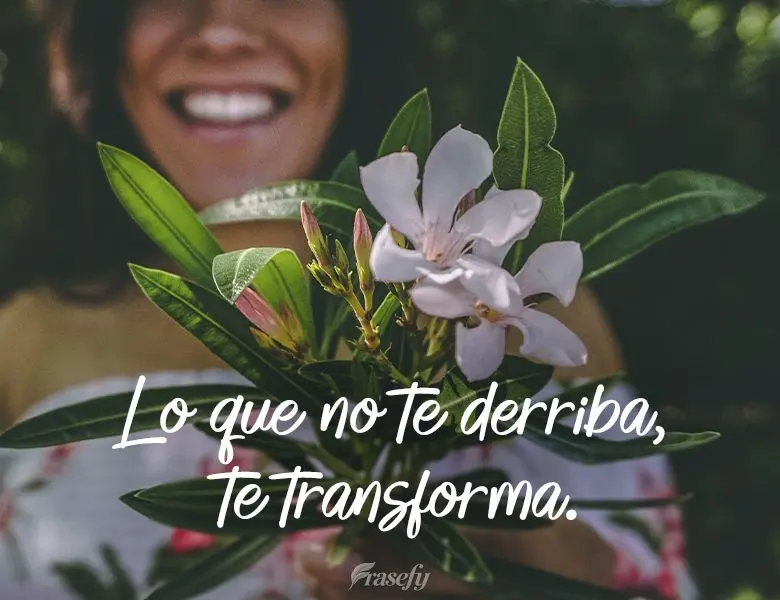 Lo que no te derriba, te transforma.