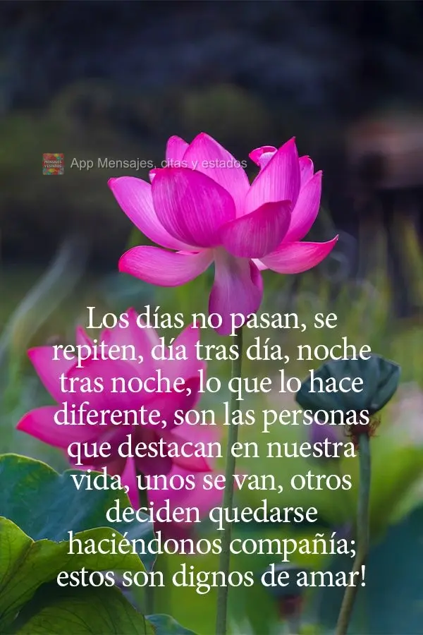 Los días no pasan, se repiten, día tras día, noche tras noche, lo que lo hace diferente, son las personas que destacan en nuestra vida, unos se van, o...