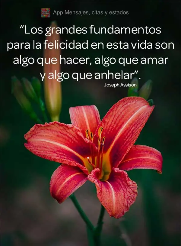 “Los grandes fundamentos para la felicidad en esta vida son algo que hacer, algo que amar y algo que anhelar”. Joseph Assison