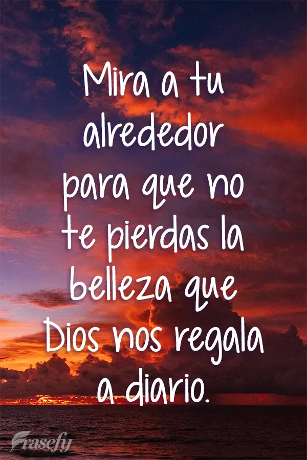 Mira a tu alrededor para que no te pierdas la belleza que Dios nos regala a diario.