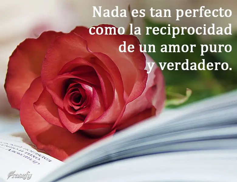 Nada es tan perfecto como la reciprocidad de un amor puro y verdadero.