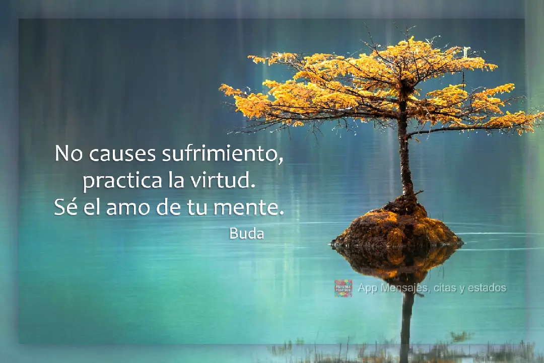 No causes sufrimiento, practica la virtud. Sé el amo de tu mente. Buda