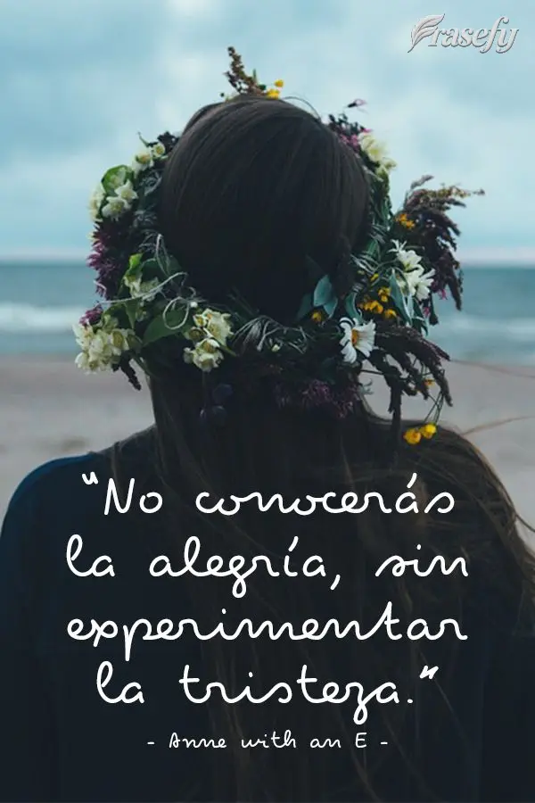 “No conocerás la alegría, sin experimentar la tristeza.” Anne with an E