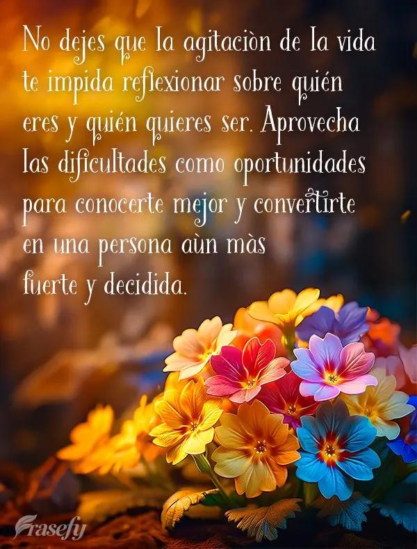 No dejes que la agitación de la vida te impida reflexionar sobre quién eres y quién quieres ser. Aprovecha las dificultades como oportunidades para co...