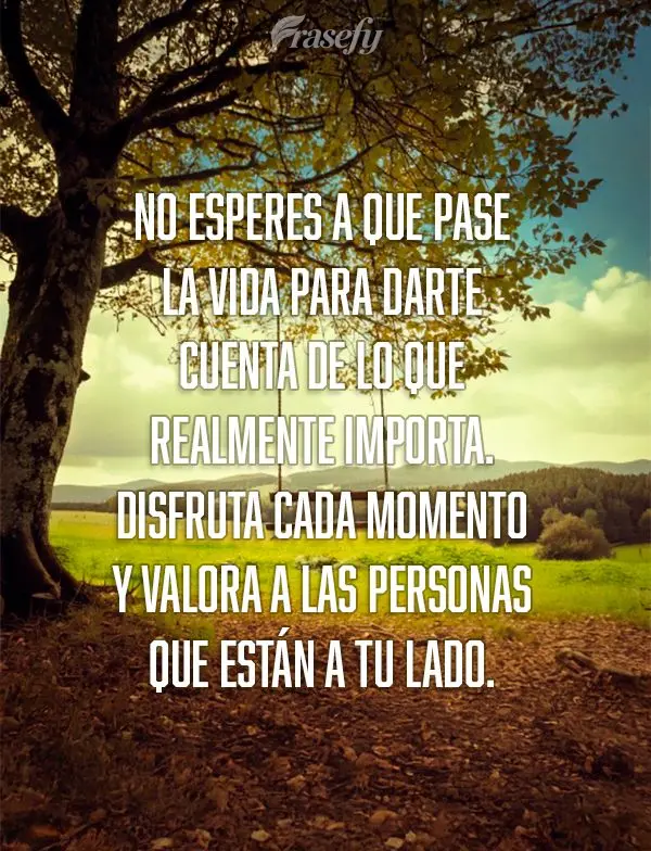 No esperes a que pase la vida para darte cuenta de lo que realmente importa. Disfruta cada momento y valora a las personas que están a tu lado.