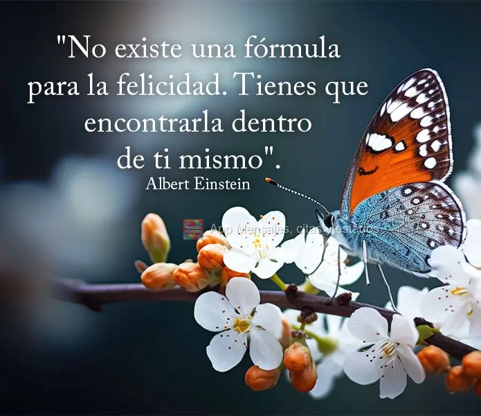 "No existe una fórmula para la felicidad. Tienes que encontrarla dentro de ti mismo". Albert Einstein
