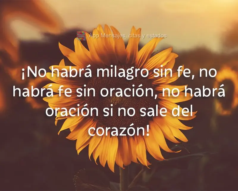 ¡No habrá milagro sin fe, no habrá fe sin oración, no habrá oración si no sale del corazón!