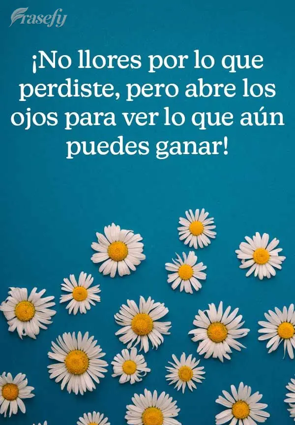 ¡No llores por lo que perdiste, pero abre los ojos para ver lo que aún puedes ganar!