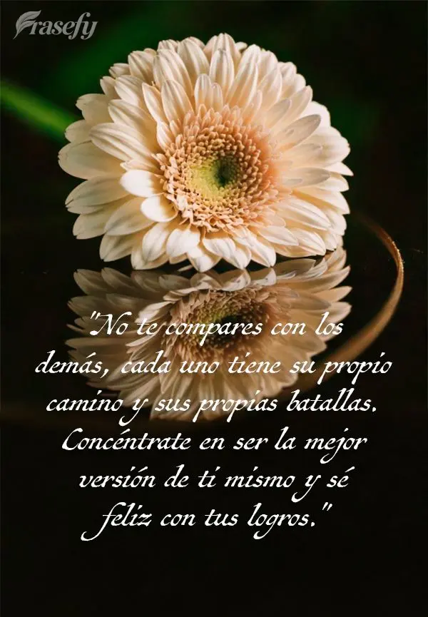 "No te compares con los demás, cada uno tiene su propio camino y sus propias batallas. Concéntrate en ser la mejor versión de ti mismo y sé feliz con...
