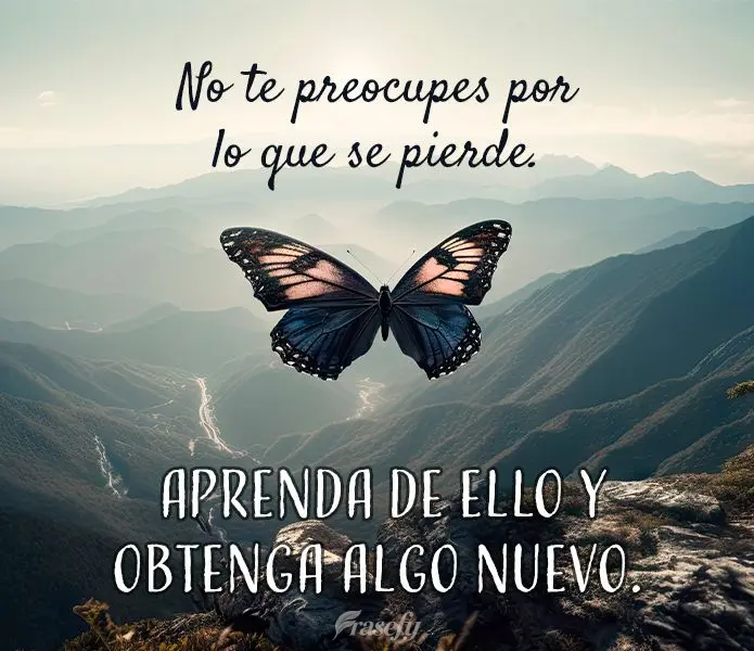 No te preocupes por lo que se pierde. Aprenda de ello y obtenga algo nuevo.