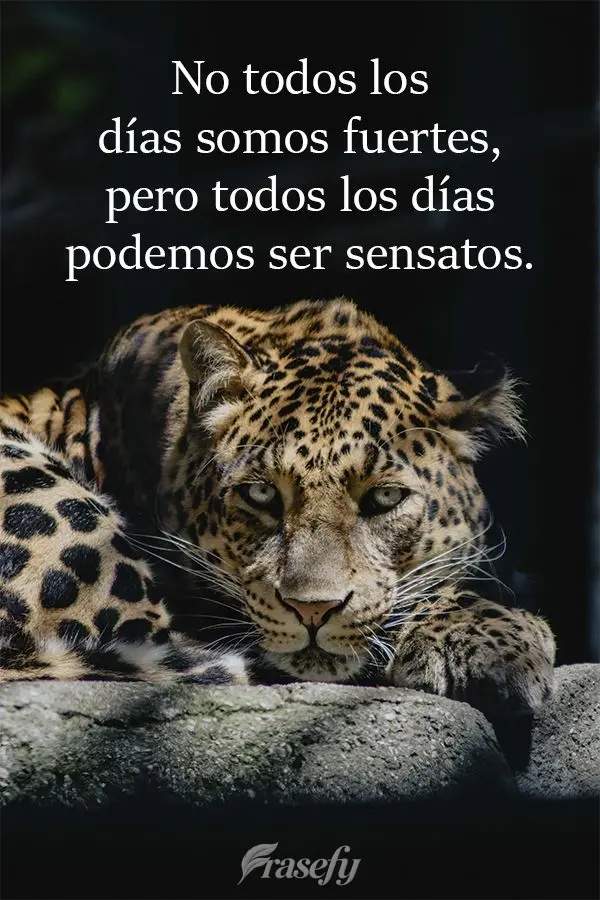 No todos los días somos fuertes, pero todos los días podemos ser sensatos.