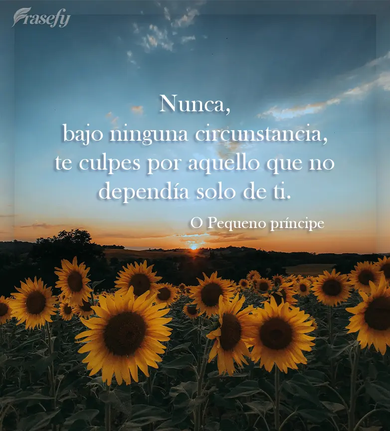 Nunca, bajo ninguna circunstancia, te culpes por aquello que no dependía solo de ti. Pequeño príncipe