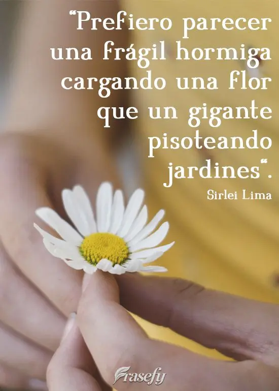 "Prefiero parecer una frágil hormiga cargando una flor que un gigante pisoteando jardines".  Sirlei Lima