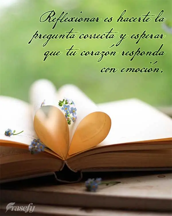 Reflexionar es hacerte la pregunta correcta y esperar que tu corazón responda con emoción.