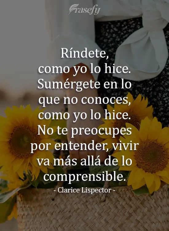 Ríndete, como yo lo hice. Sumérgete en lo que no conoces, como yo lo hice. No te preocupes por entender, vivir va más allá de lo comprensible. Claric...