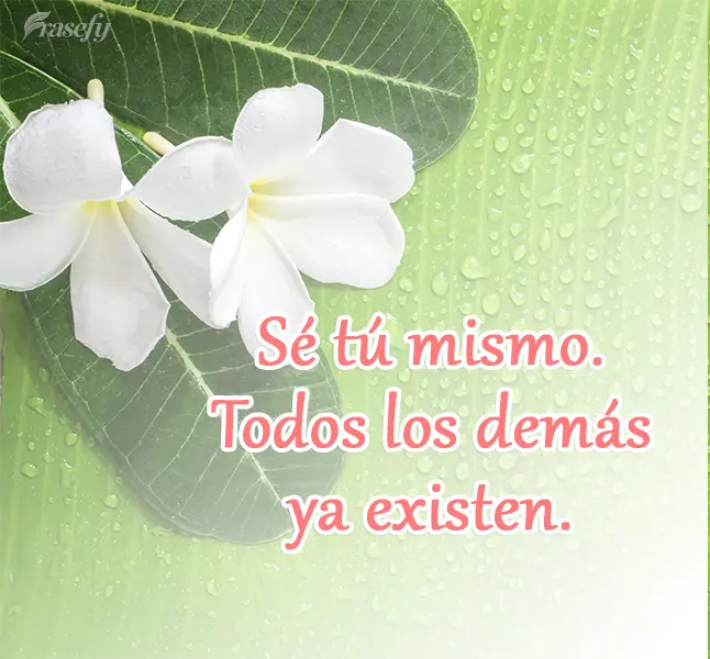 Sé tú mismo. Todos los demás ya existen.
