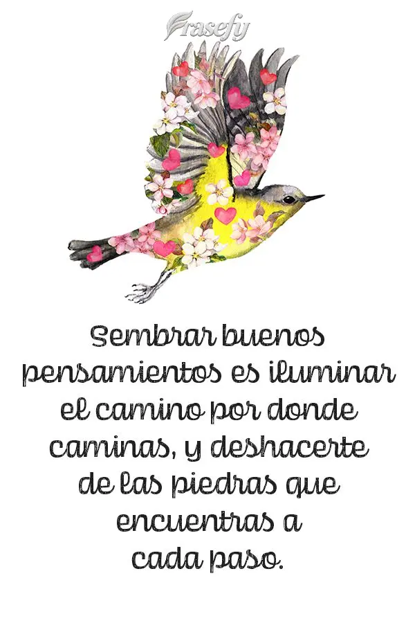 Sembrar buenos pensamientos es iluminar el camino por donde caminas, y deshacerte de las piedras que encuentras a cada paso.