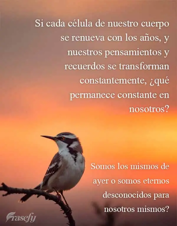 Si cada célula de nuestro cuerpo se renueva con los años, y nuestros pensamientos y recuerdos se transforman constantemente, ¿qué permanece constante...